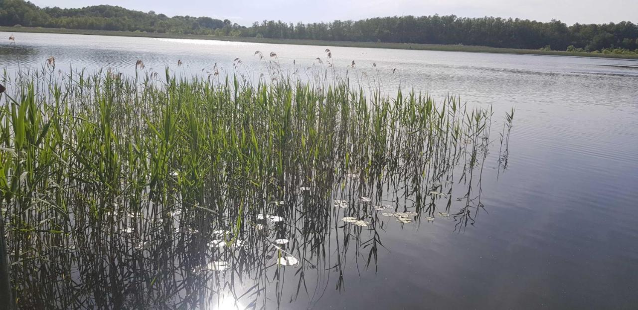 Ferienresidenz Naturoase Krakow am See Esterno foto